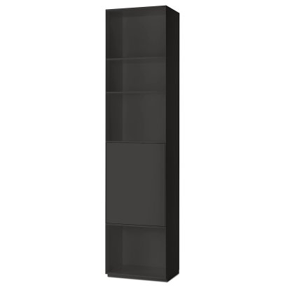 Nex Pur étagère avec porte, Largeur 50 cm, Porte en bas, Graphite