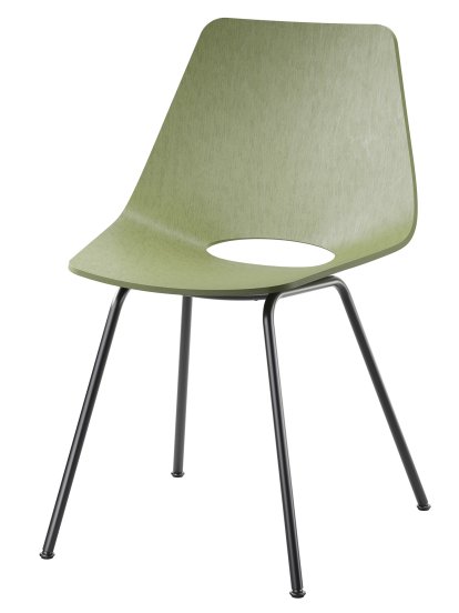 S 661, Hêtre teinté vert olive (RAL 6003), Noir (RAL 9005)
