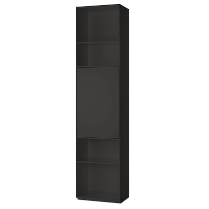 Nex Pur étagère avec porte, Largeur 50 cm, Porte en haut, Graphite